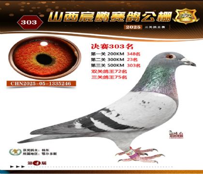 ɽ����i�Qِ303��