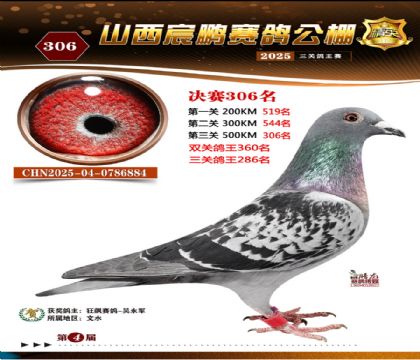 ɽ����i�Qِ306��