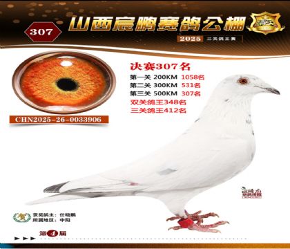 ɽ����i�Qِ307��