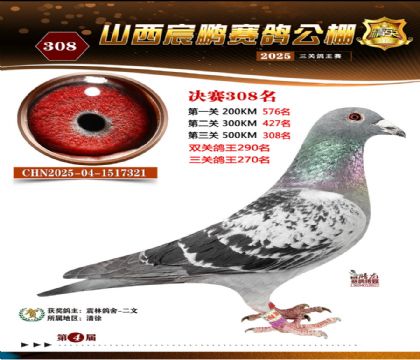 ɽ����i�Qِ308��