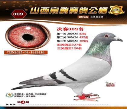 ɽ����i�Qِ309��