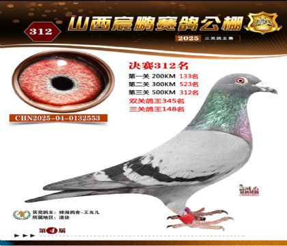 ɽ����i�Qِ312��