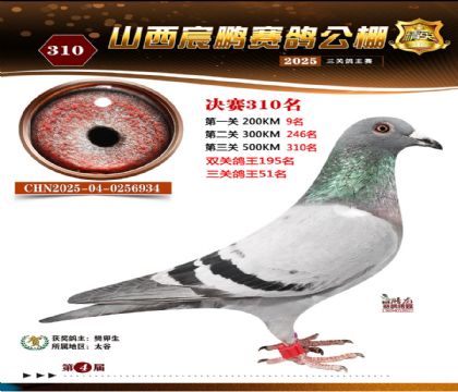 ɽ����i�Qِ310��