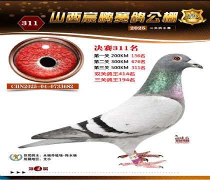 ɽ����i�Qِ311��