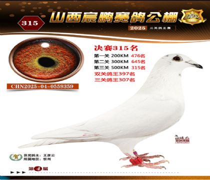 ɽ����i�Qِ315��