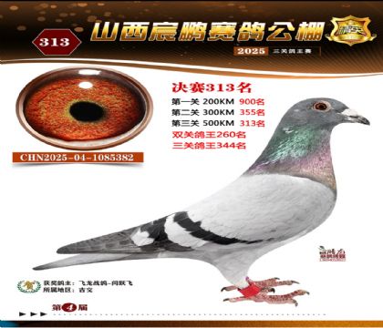 ɽ����i�Qِ313��