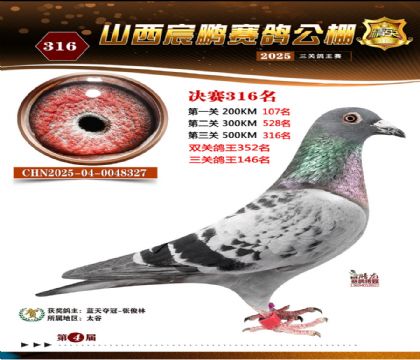 ɽ����i�Qِ316��