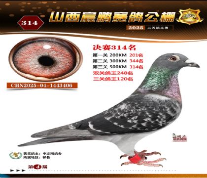 ɽ����i�Qِ314��