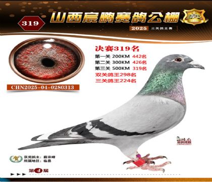 ɽ����i�Qِ319��