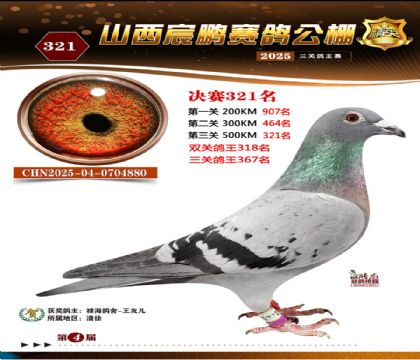 ɽ����i�Qِ321��