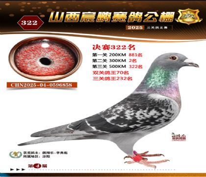 ɽ����i�Qِ322��