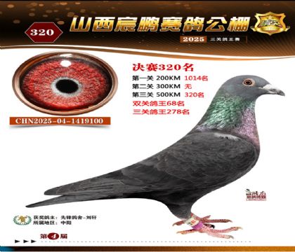 ɽ����i�Qِ320��