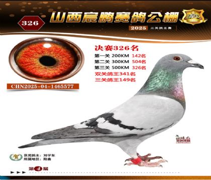 ɽ����i�Qِ326��