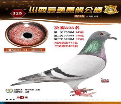 ɽ����i�Qِ325��