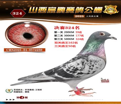 ɽ����i�Qِ324��