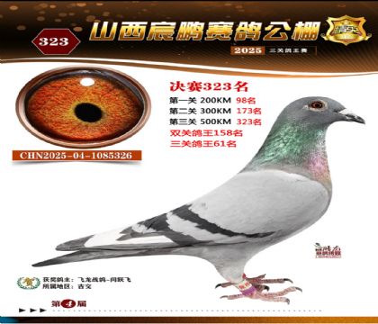 ɽ����i�Qِ323��