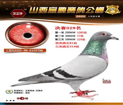 ɽ����i�Qِ329��