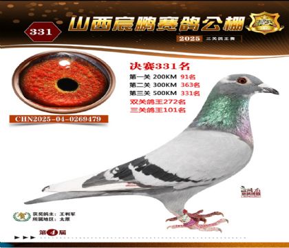 ɽ����i�Qِ331��