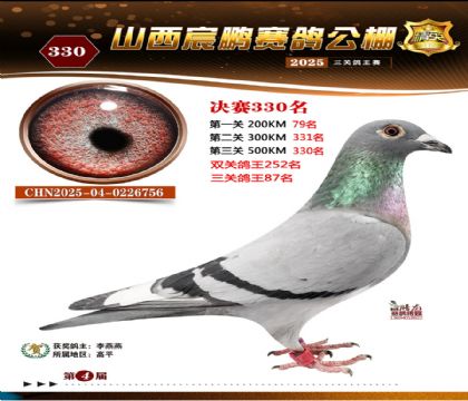 ɽ����i�Qِ330��