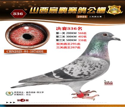 ɽ����i�Qِ336��