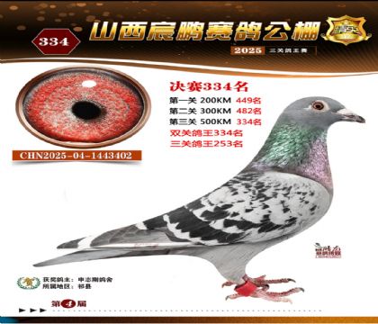 ɽ����i�Qِ334��