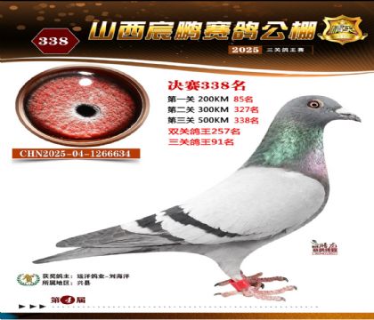 ɽ����i�Qِ338��