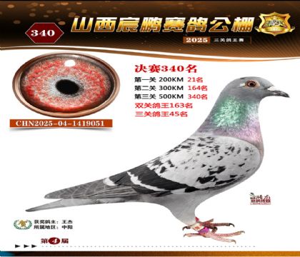 ɽ����i�Qِ340��