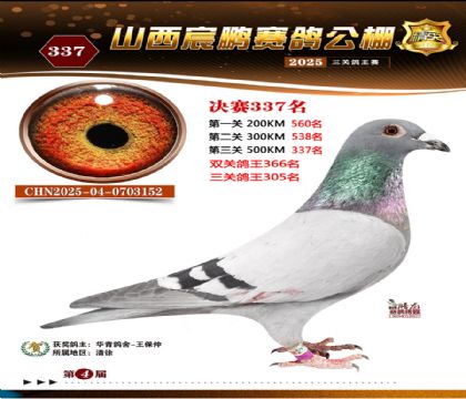 ɽ����i�Qِ337��