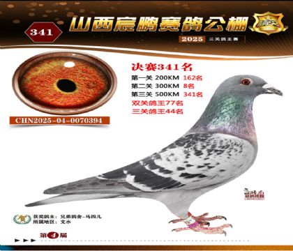 ɽ����i�Qِ341��