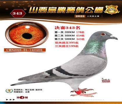 ɽ����i�Qِ343��