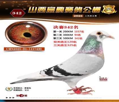 ɽ����i�Qِ342��