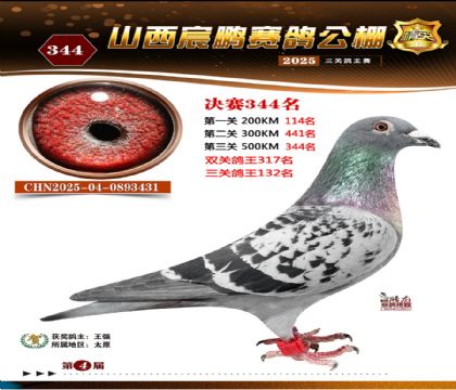 ɽ����i�Qِ344��