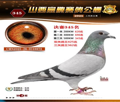 ɽ����i�Qِ345��