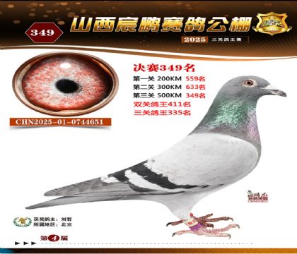 ɽ����i�Qِ349��