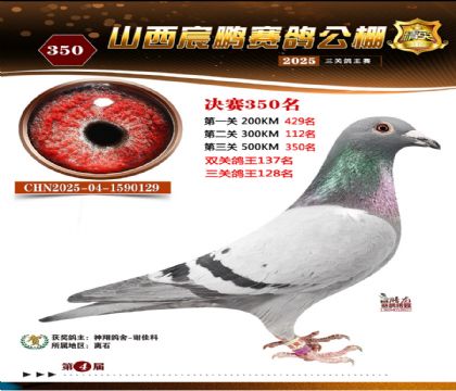 ɽ����i�Qِ350��