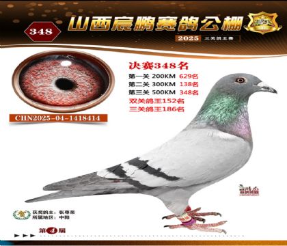 ɽ����i�Qِ348��