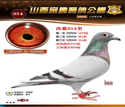 ɽ����i�Qِ354��