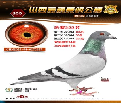 ɽ����i�Qِ355��