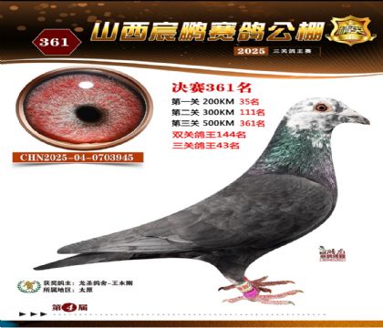 ɽ����i�Qِ361��