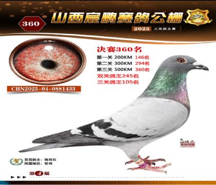 ɽ����i�Qِ360��