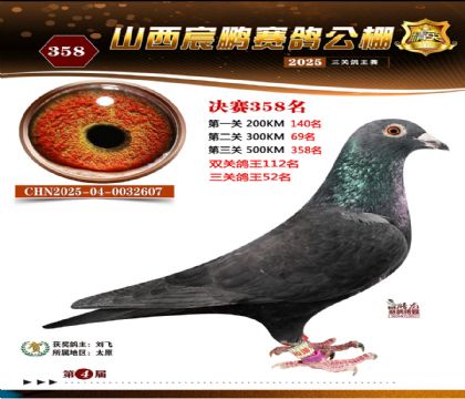 ɽ����i�Qِ358��