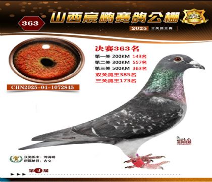 ɽ����i�Qِ363��