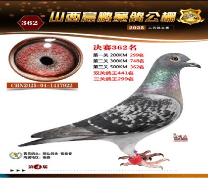 ɽ����i�Qِ362��