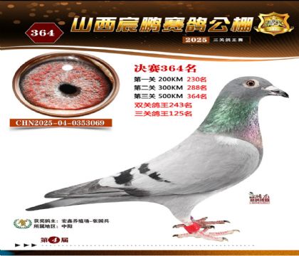 ɽ����i�Qِ364��