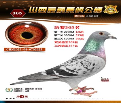 ɽ����i�Qِ365��