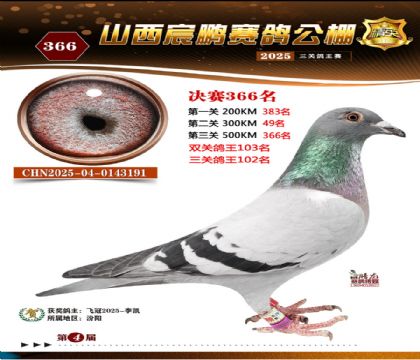 ɽ����i�Qِ366��