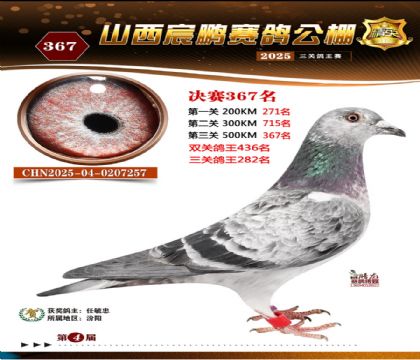 ɽ����i�Qِ367��