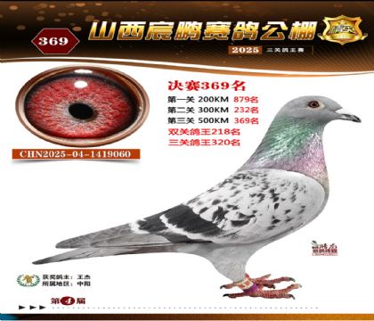 ɽ����i�Qِ369��