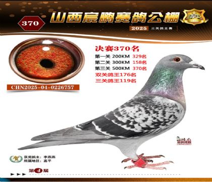 ɽ����i�Qِ370��