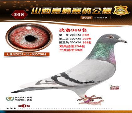 ɽ����i�Qِ368��